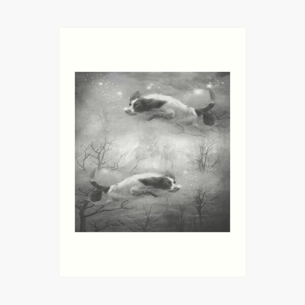 "Springer" Art Print