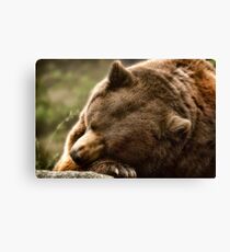 Lazy Bear Canvas Print