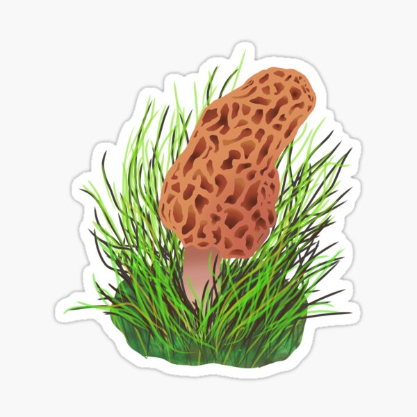 "Morel" Sticker by GooseChernovog Redbubble