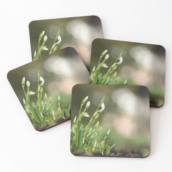 Item preview, Crocus Morning designed and sold by Tracy Friesen.