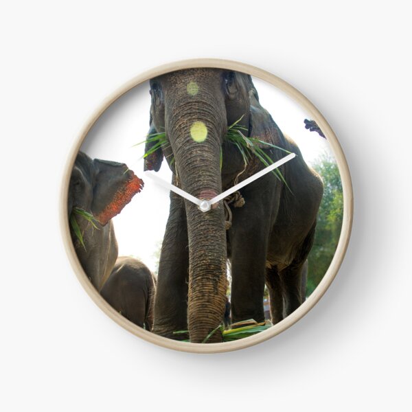 Sun Flare Elephant Clock