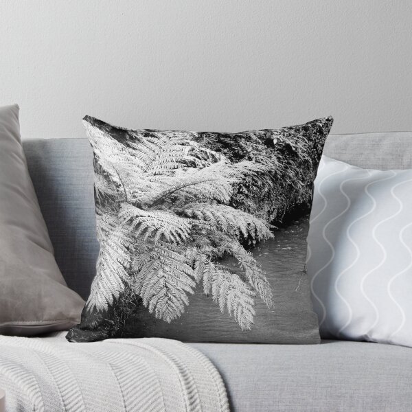 Item preview, Ferns designed and sold by Gaspar Avila.