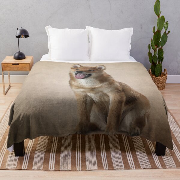 Item preview, Drawing Japanese Shiba Inu dog designed and sold by bonidog.