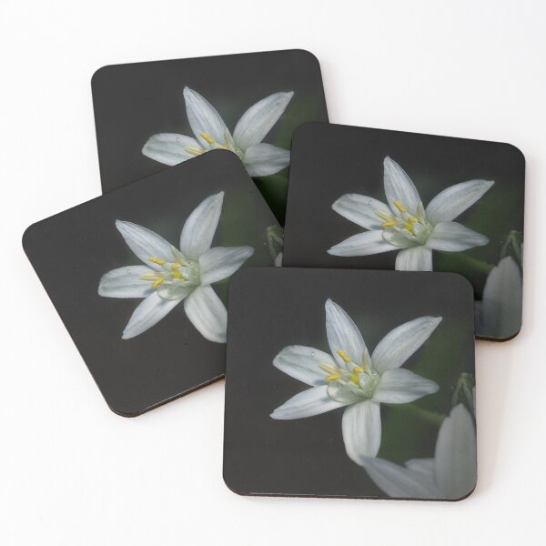 Item preview, Macro photo of a white flower designed and sold by bonidog.