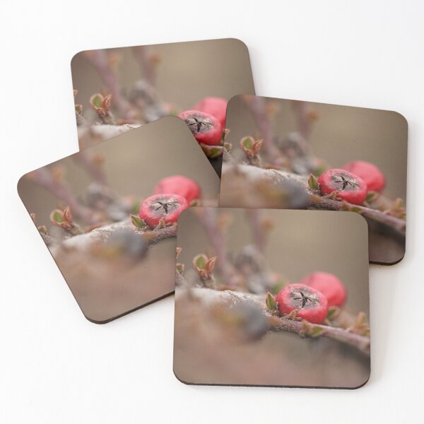 Item preview, Brush Berry 2 designed and sold by Tracy Friesen.