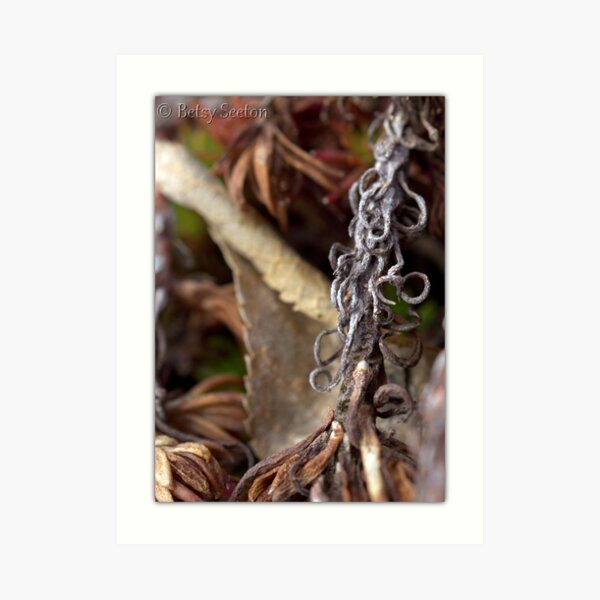 Nature's Work Art Print