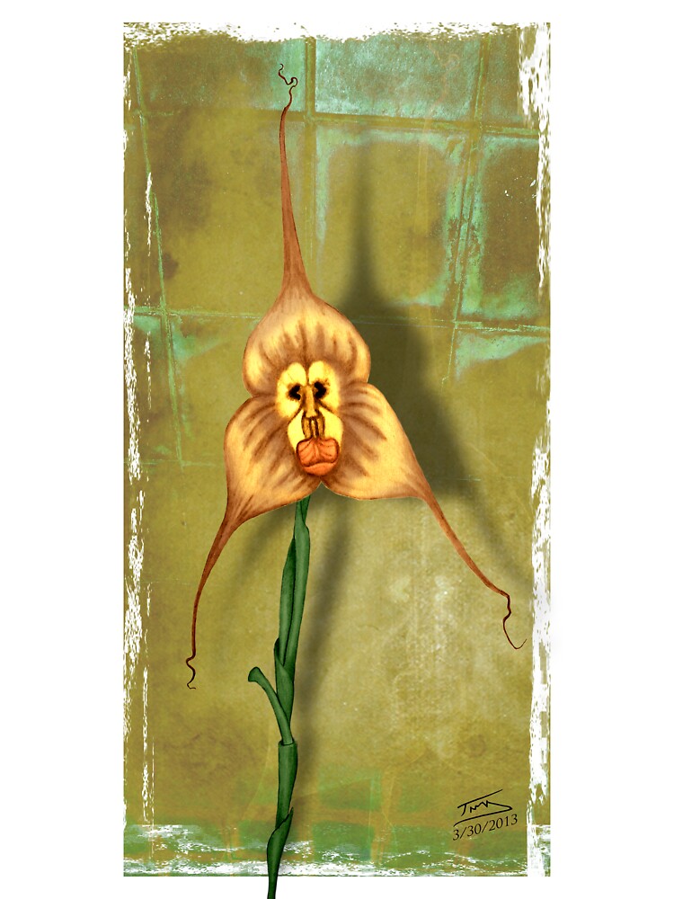 Monkey Face Orchid Baby One Piece By Troy87 Redbubble