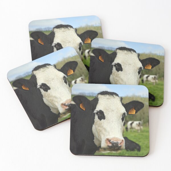 Item preview, Cow facing camera designed and sold by Gaspar Avila.