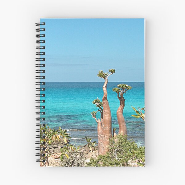 Item preview, Unique Desert Rose Tree by the Sea, Socotra Island designed and sold by worldways.