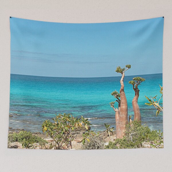 Item preview, Unique Desert Rose Tree by the Sea, Socotra Island designed and sold by worldways.