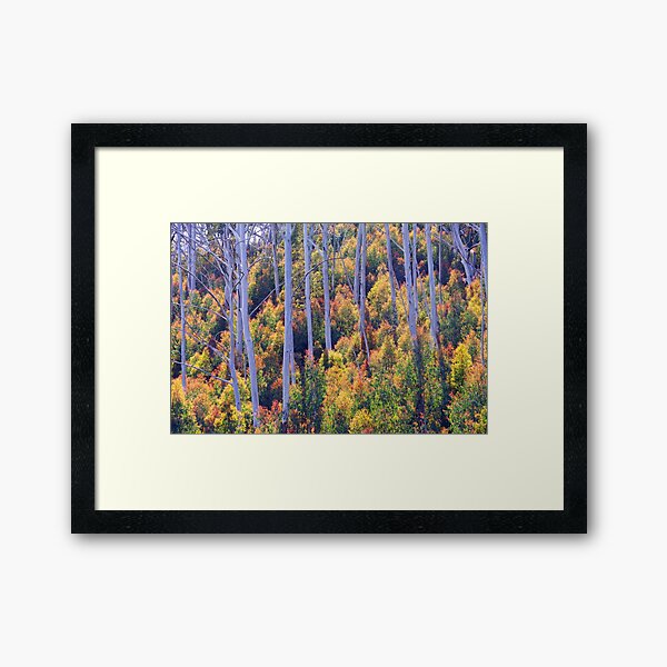 The Old and the New Framed Art Print