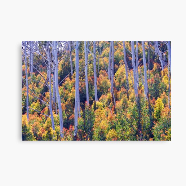 The Old and the New Canvas Print