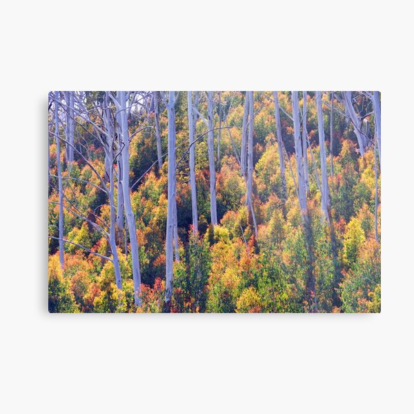 The Old and the New Metal Print