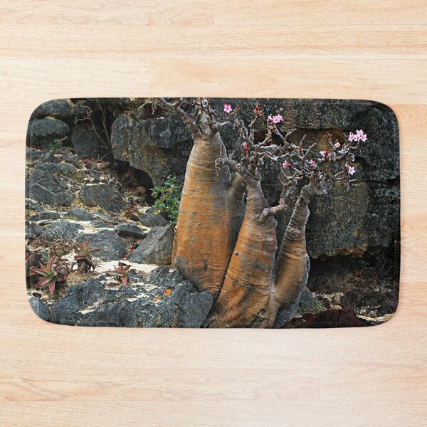 Item preview, Rare Exotic Desert Rose Tree flowering,  Socotra Island designed and sold by worldways.