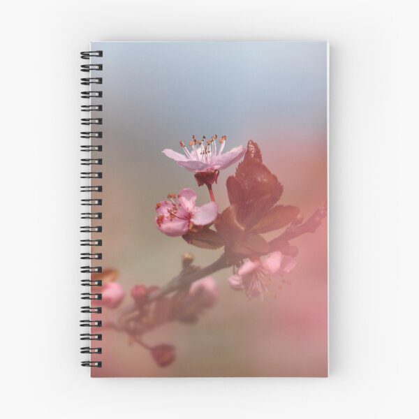Item preview, Seeking designed and sold by Tracy Friesen.