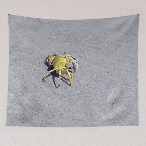 Item preview, Yellow Sand Crab, Socotra Island, Yemen designed and sold by worldways.
