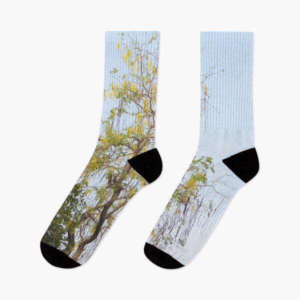 Item preview, Tropical Trees, Kerala India designed and sold by worldways.