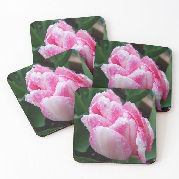 Item preview, Two Tone Pink Tulip covered in raindrops designed and sold by LoneAngel.