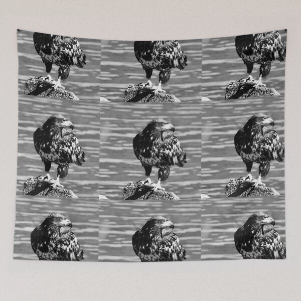 Item preview, Spotted Eagle B&W designed and sold by RichImage.