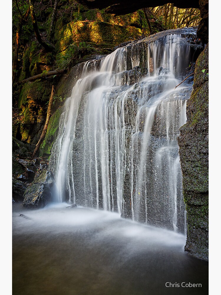 "Strickland Falls, South Hobart, Tasmania 6" Framed Art Print for Sale