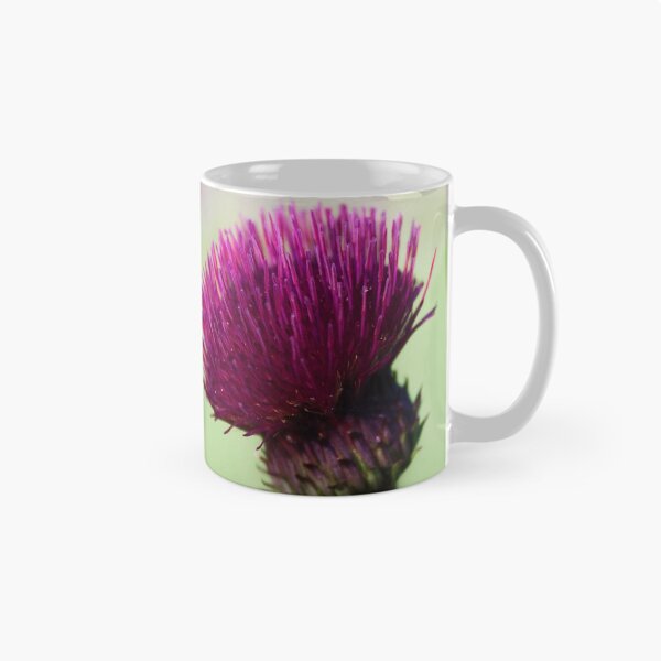 Artikelvorschau, Schottische Distel entworfen und verkauft von GillianSweeney.