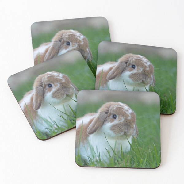 Item preview, Brown and White Holland Lop Rabbit Munching on Grass designed and sold by TheCurators.