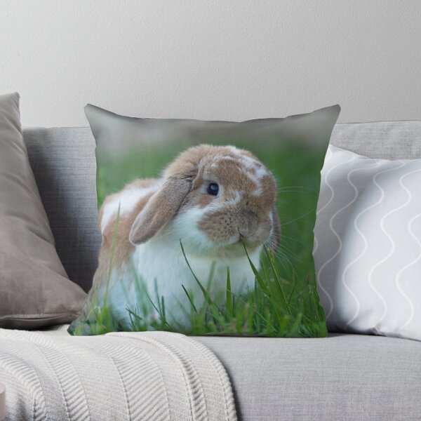 Brown and White Holland Lop Rabbit Munching on Grass Throw Pillow