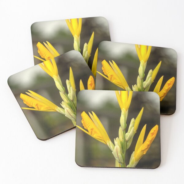 Item preview, oli daffodils designed and sold by pcfyi.