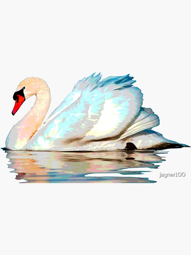 Swan Sticker For Sale By Jayner100 Redbubble