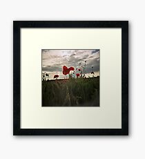 poppy Framed Print