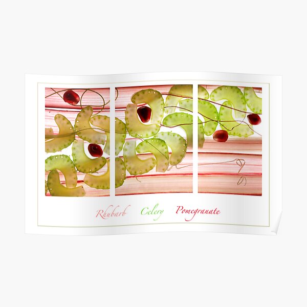 Rhubarb, Celery and Pomegranate Poster