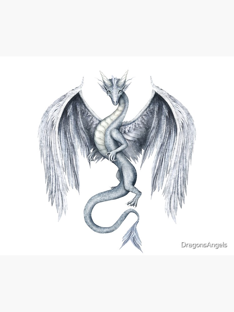 Dragon wings Drawing Reference and Sketches for Artists