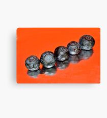 Blueberries Canvas Print