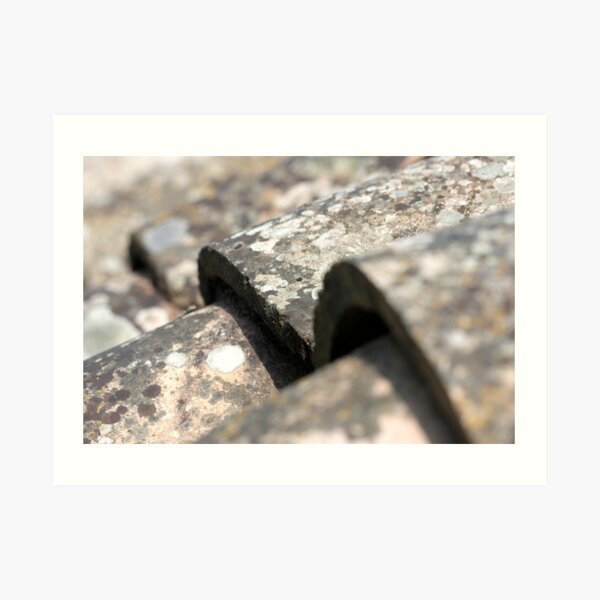 through the roof Art Print
