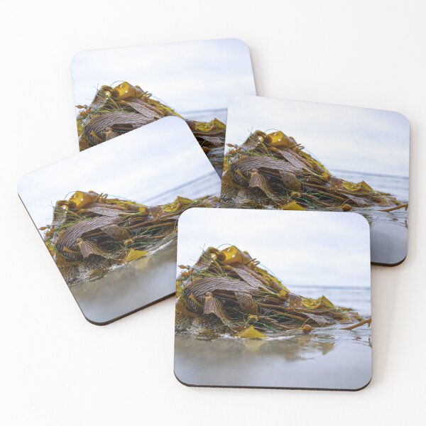 Item preview, Beached Kelp  designed and sold by dahoodscientist.