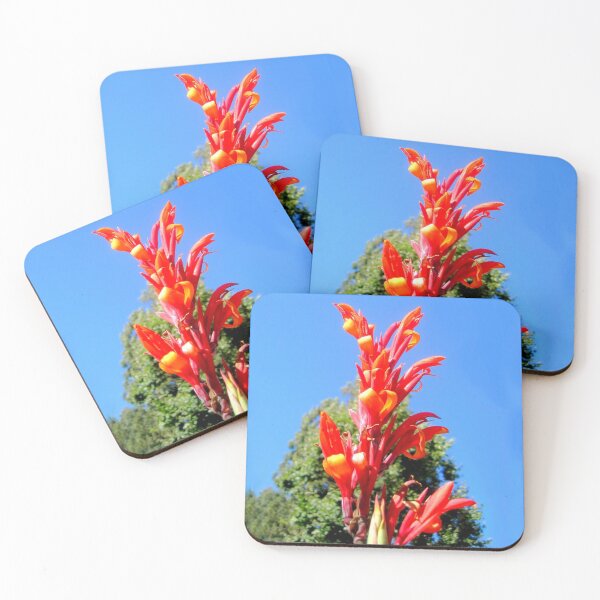 Item preview, Canna Red Dragon Flower Bloom designed and sold by Carlo Varo.