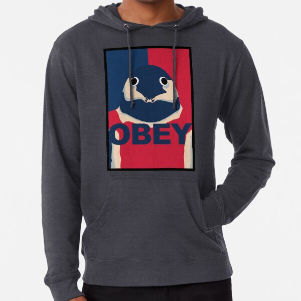 destiny 2 hoodie