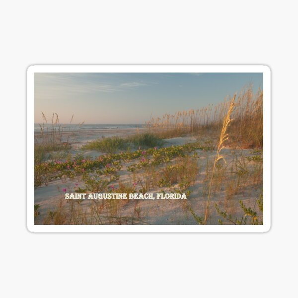 St. Augustine Beach Dunes Sticker