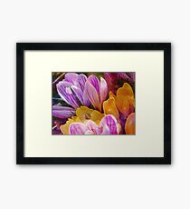 Spring Blossoms Framed Print