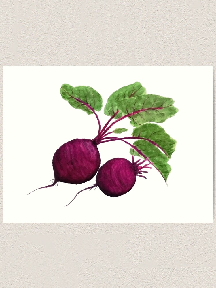 “purple beetroot painting " Art Print for Sale by ColorandColor | Redbubble