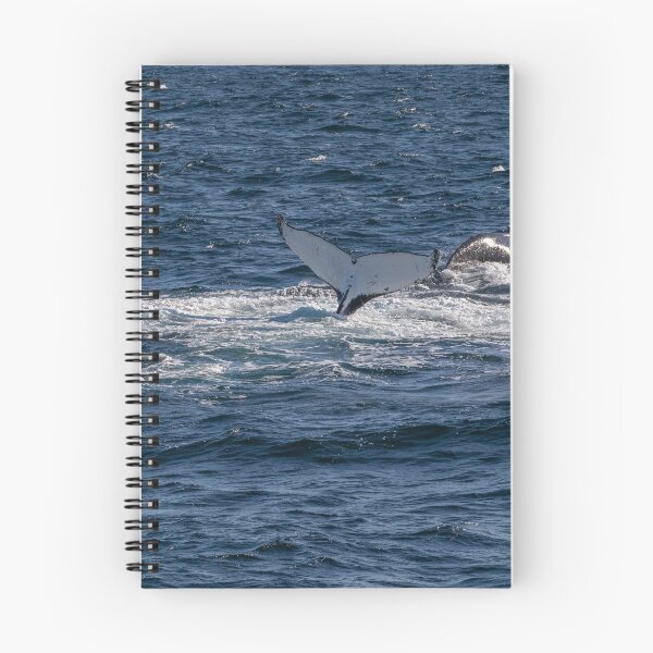 Item preview, whale tail designed and sold by justine Gordon.