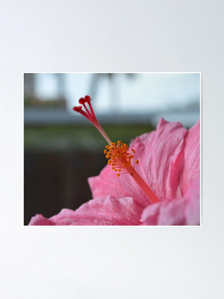 Thumbnail 1 of 3, Poster, Spring Is Springing designed and sold by rosaliemcm.