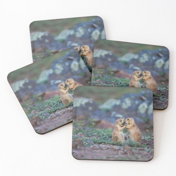 Item preview, Cute Black-tailed Prairie Dogs at Wichita Mountains NWR designed and sold by TheCurators.