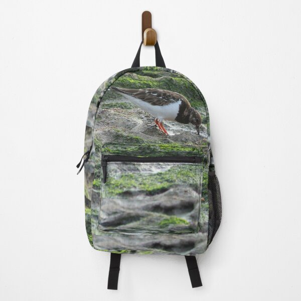 Item preview, Sandpiper Coastal Bird feeding on Seashore designed and sold by worldways.