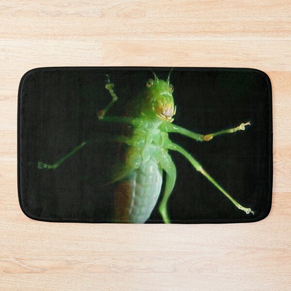 Item preview, Katydid Portrait designed and sold by Jean Gregory Evans.
