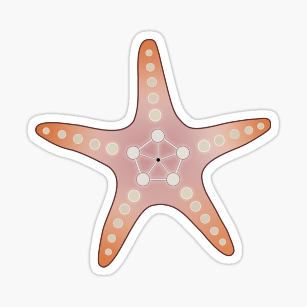 Baby Starfish Sticker