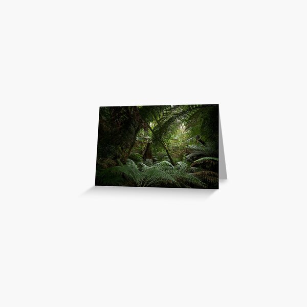 untitled rainforest Greeting Card
