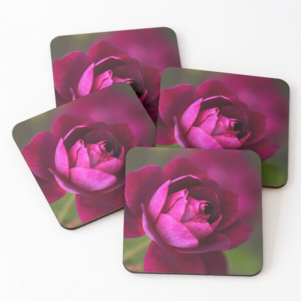 Item preview, Rich Pink Rose Bloom  designed and sold by Joy Watson - Natural Light Photography .