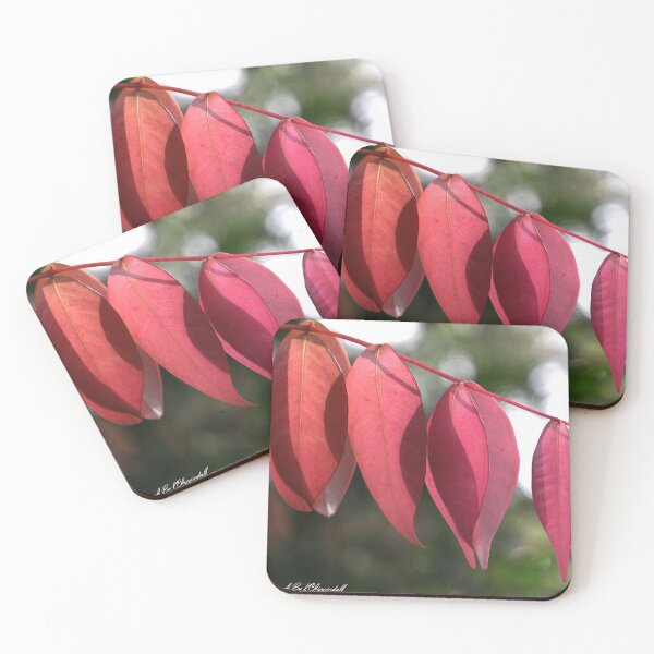 Item preview, Beauty of nature 161 designed and sold by kevin Chippindall.
