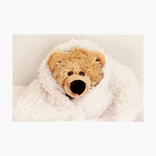 Teddy want to be a lamb Photographic Print